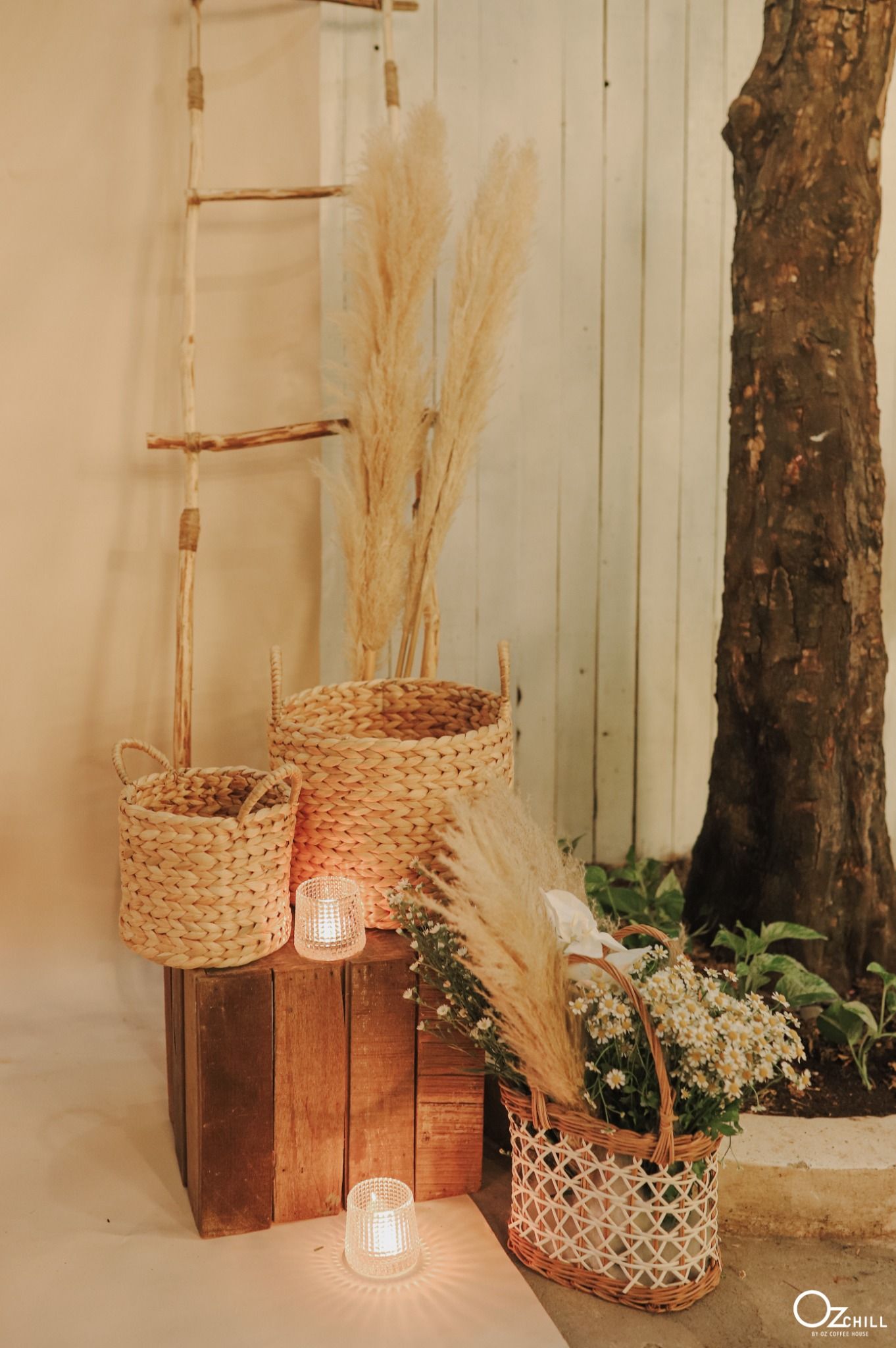TỔNG HỢP CÁC MẪU BACKDROP