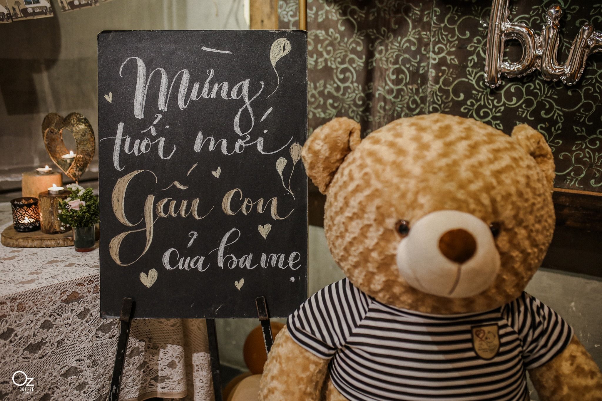 TEDDY CRUSH - D - GROUP - OZ_HTC