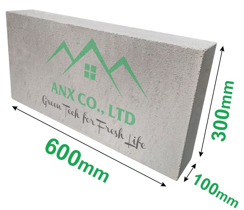 Gạch bê tông nhẹ AAC Eblock 600x300x100mm