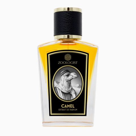 Camel