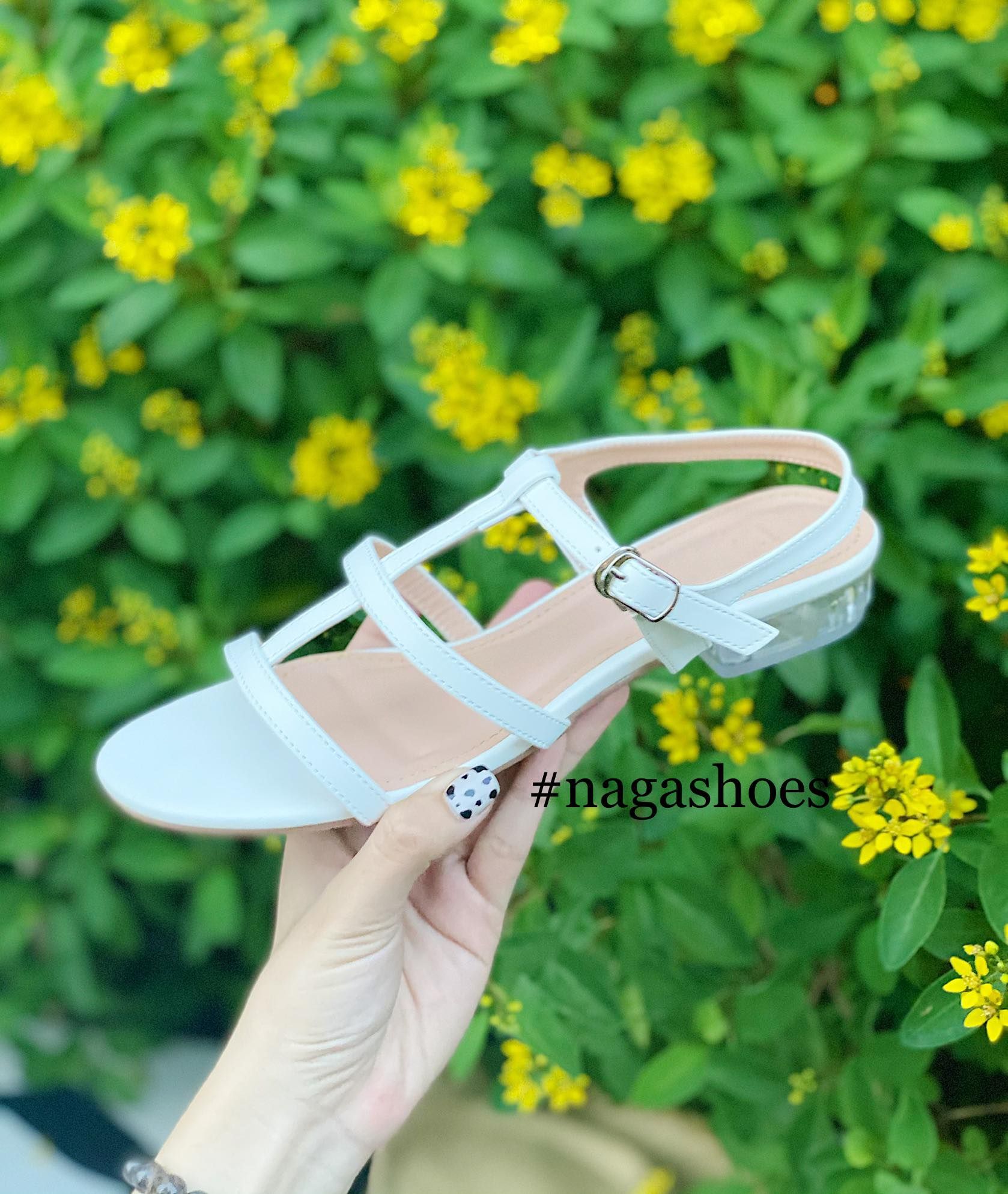 CAO GÓT 3 QUAI SỌC GIỮA 2P NAC188