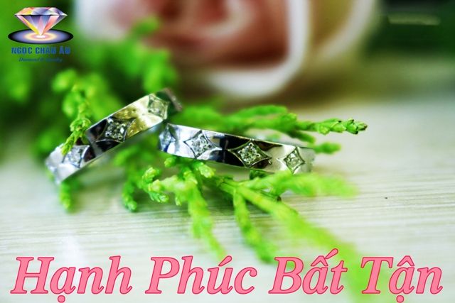 Nhẫn Cưới Kim Cương DCR009
