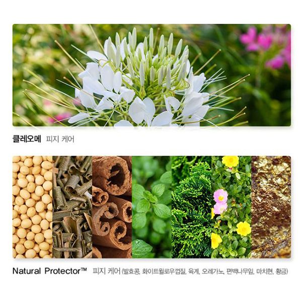 Tinh chất dưỡng da The Saem – Cleome Refining Essence (60ml)