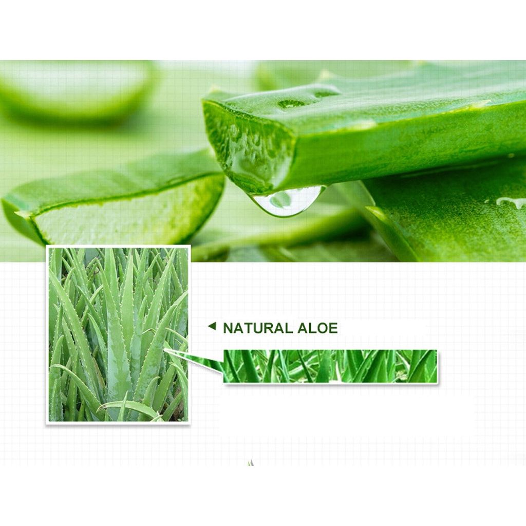 Mặt nạ ngủ chiết xuất từ lô hội QISE Curacao Aloe Vera Gel