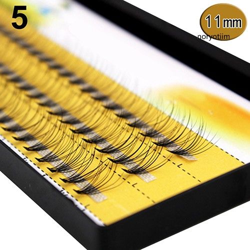  Set 60 Lông Mi Giả 10D Tự Nhiên NESURA Eyelash Nội Địa Trung 