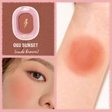  Phấn Má Hồng PINKFLASH Chic In Cheek | PF-F01 