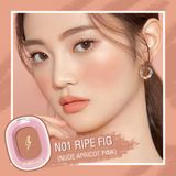  Phấn Má Hồng PINKFLASH Chic In Cheek | PF-F01 