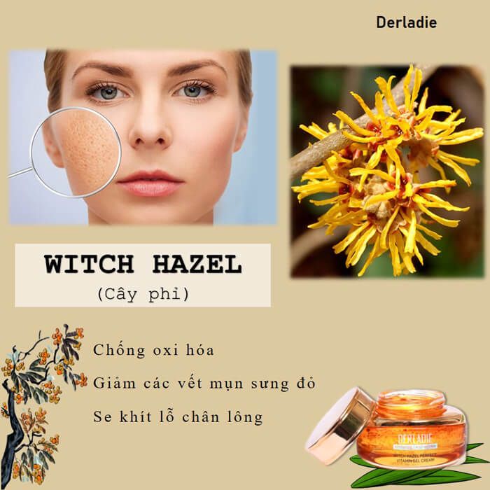  Gel Dưỡng Ẩm Chăm Sóc Da Mụn, Mờ Thâm, Sẹo Derladie Witch Hazel Perfect Vitamin Gel Cream 55ml 