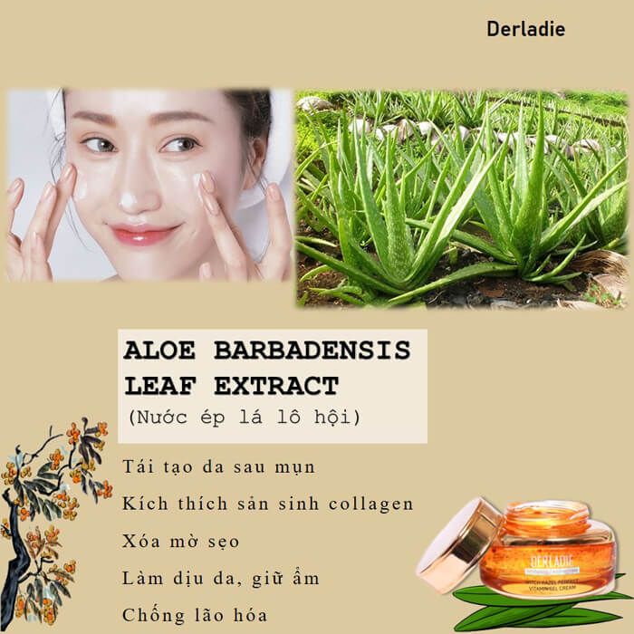 Gel Dưỡng Ẩm Chăm Sóc Da Mụn, Mờ Thâm, Sẹo Derladie Witch Hazel Perfect Vitamin Gel Cream 55ml