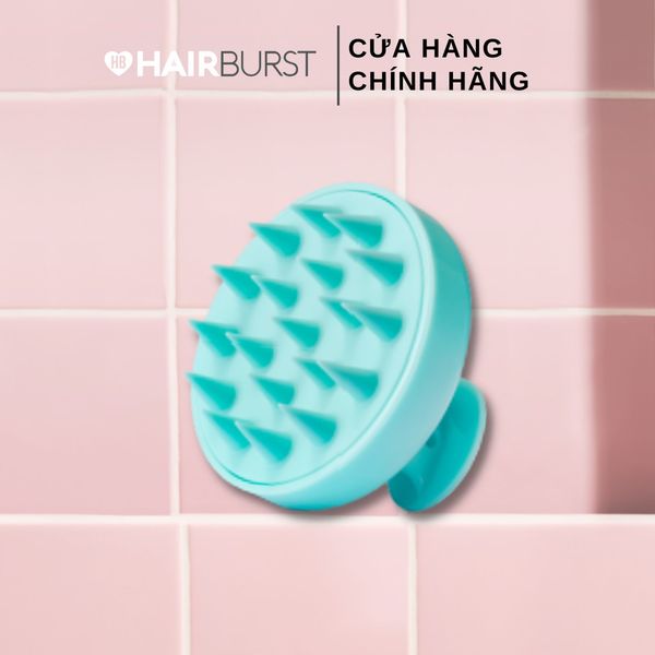  Lược Gội Đầu Và Massage Da Đầu Cao Cấp HAIRBURST Hair Brush UK 