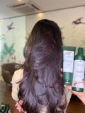  Cặp Gội Xả Gừng Trắng Sạch Dầu Thừa, Giảm Gàu WEILAIYA Ginger Hair Care 