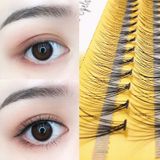  Set 60 Lông Mi Giả 10D Tự Nhiên NESURA Eyelash Nội Địa Trung 