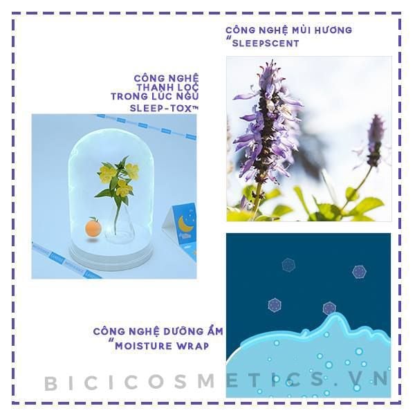 Mặt nạ ngủ Laneige Water Sleeping Mask Lavender (15ml)