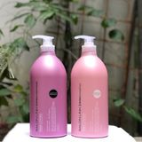  Dầu Gội/Xả Chuẩn Salon Siêu Phục Hồi Tóc SALON LINK Repair & Protect Nhật Bản 1000ml - Có tem phụ 