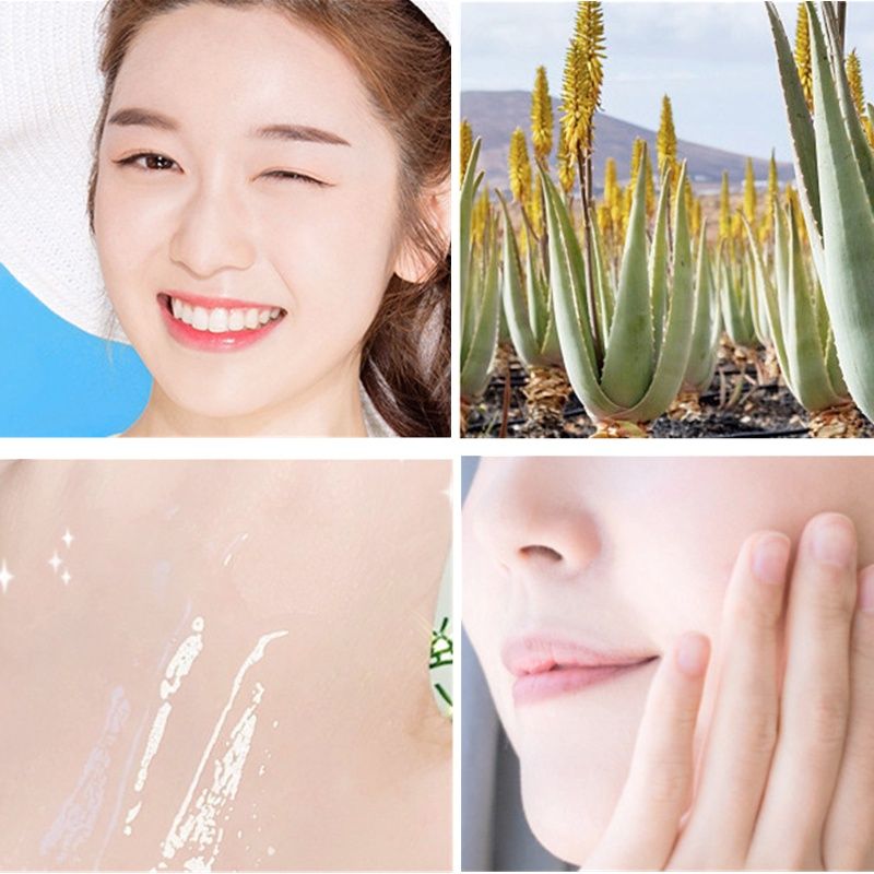 Mặt nạ ngủ chiết xuất từ lô hội QISE Curacao Aloe Vera Gel