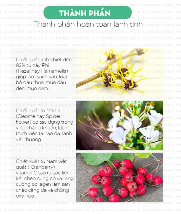 Thanh lăn trị mụn vùng chữ T A’PIEU Hamamelis T-zone Serum