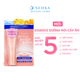  Mặt Nạ Ngủ Môi Cấp Ẩm & Ngừa Khô Môi SENKA Aqua Essence 10g 