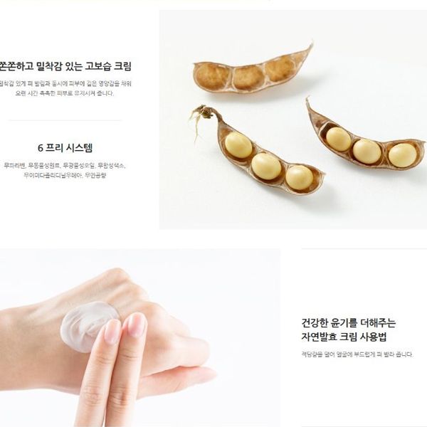 Kem Dưỡng Chống Lão Hóa Chiết Xuất Đậu Nành Lên Men Innisfree Soybean Energy Cream EX