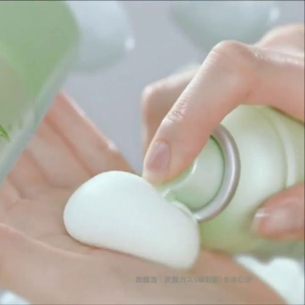 Bọt Rửa Mặt Trà Trắng Shirochasou White Tea Foaming Wash (150g)
