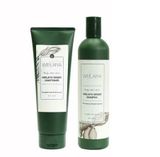  Cặp Gội Xả Gừng Trắng Sạch Dầu Thừa, Giảm Gàu WEILAIYA Ginger Hair Care 