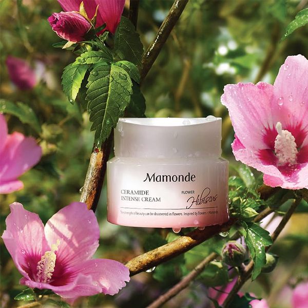 Kem Dưỡng Ẩm Chuyên Sâu Mamonde Ceramide Intense Cream 50ml