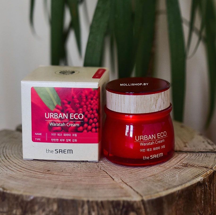 Kem dưỡng The Saem Urban Eco Waratah Cream 60ml
