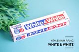  Kem đánh răng White & White Lion Nhật Bản 