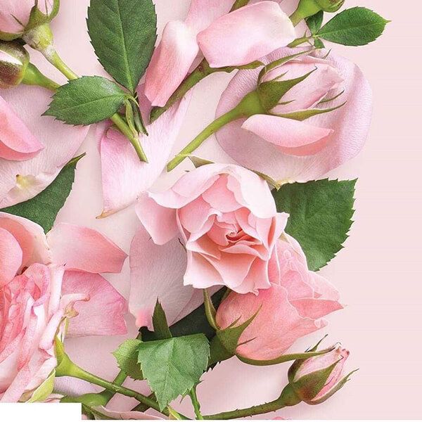 Sữa Dưỡng Thể Sáng Da Love Beauty And Planet Delicious Glow 400ml (không tích điểm)