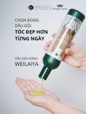  Cặp Gội Xả Gừng Hà Thủ Ô Phục Hồi Kích Mọc Tóc Bóng Mượt WEILAIYA Zingiber Officinale Juice 