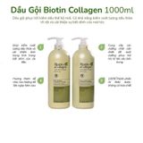  Combo Dầu Gội Xả Kiểm Soát Dầu Nhờn và Dưỡng Ẩm Biotin & Collagen Pure Mint Extract Softening Moisturizing Xanh Lá 1000ml (kèm túi giấy) 