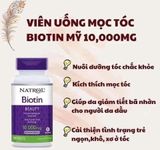  Natrol Biotin 10.000mcg Maximum Strength 