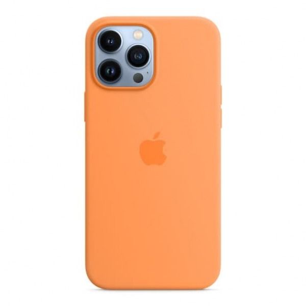 Ốp lưng Apple Silicone cho iPhone 13 Pro Max Chính hãng