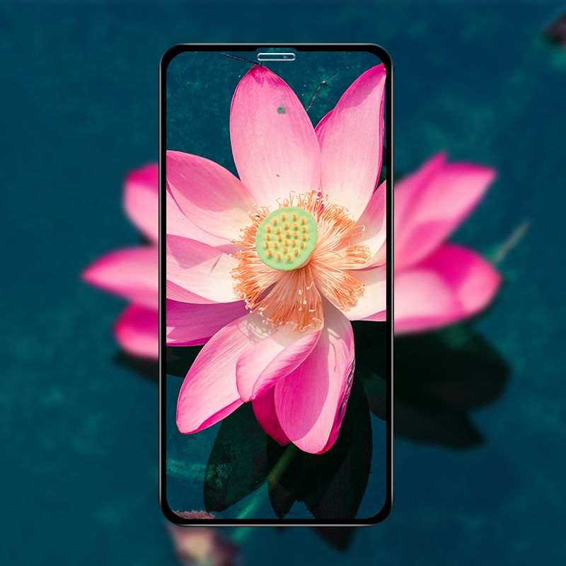 Miếng dán cường lực Mipow KingBull Premium HD (2.7D) (2020)