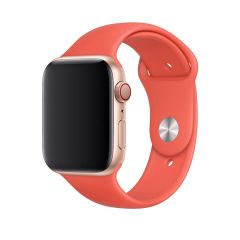 Dây Apple Watch COTEetCI Silicone 42mm