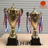 Cúp thể thao 3013