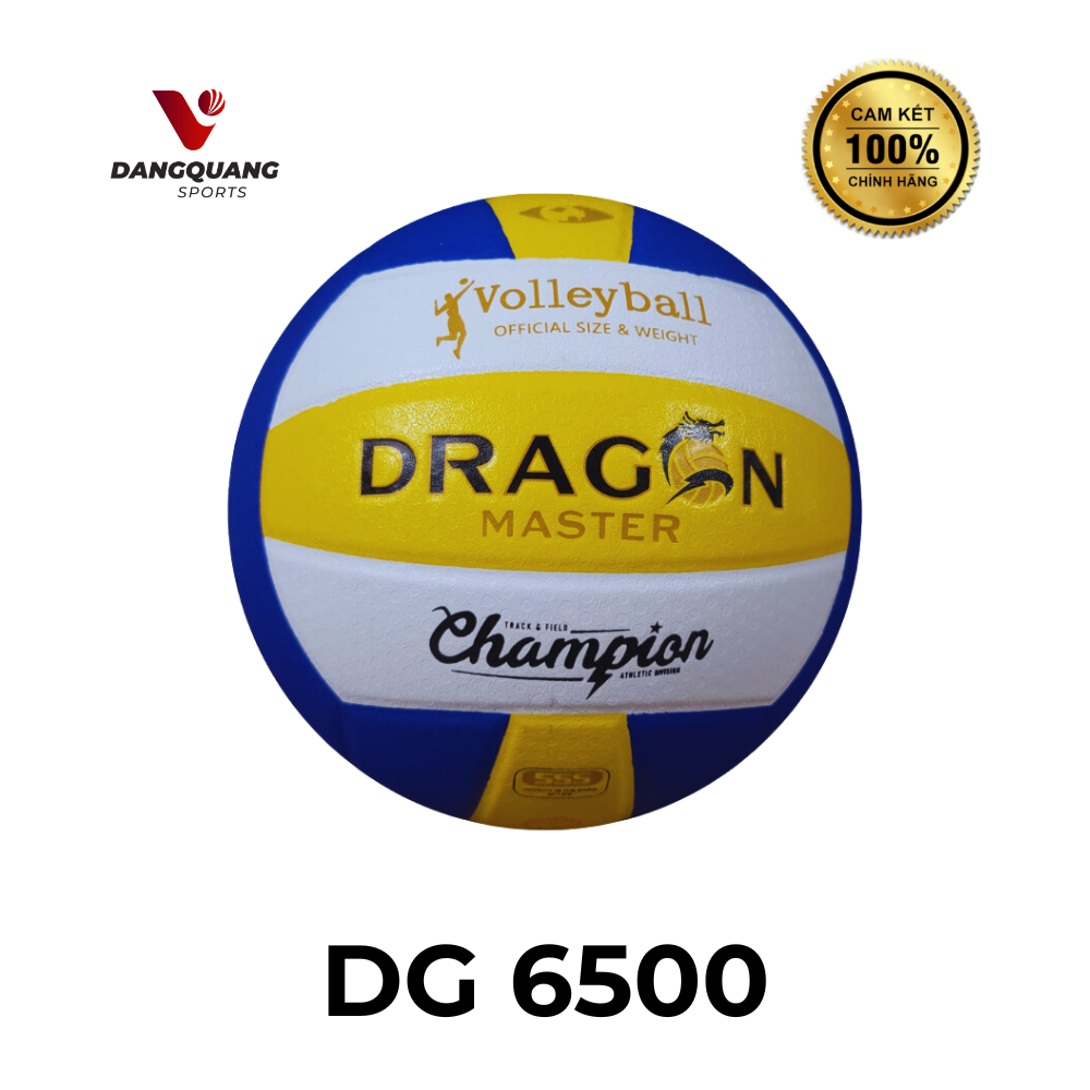 Bóng chuyền DG 6500