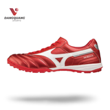 MORELIA SALA ELITE TF