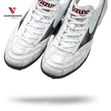 MORELIA TF
