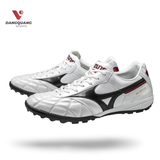 MORELIA TF