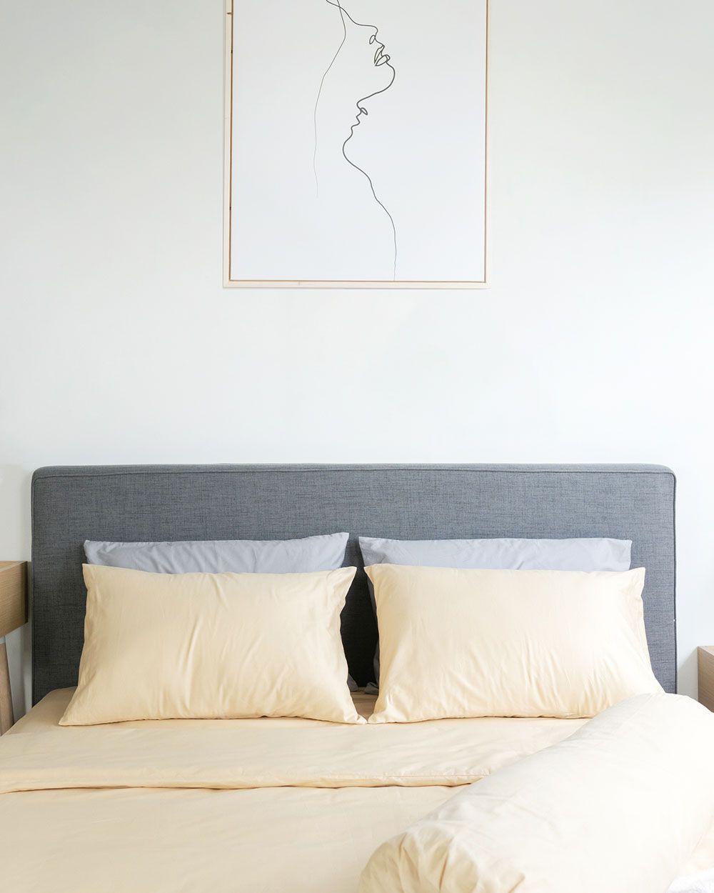 Cặp Vỏ Gối Nằm Cotton Dysania Be