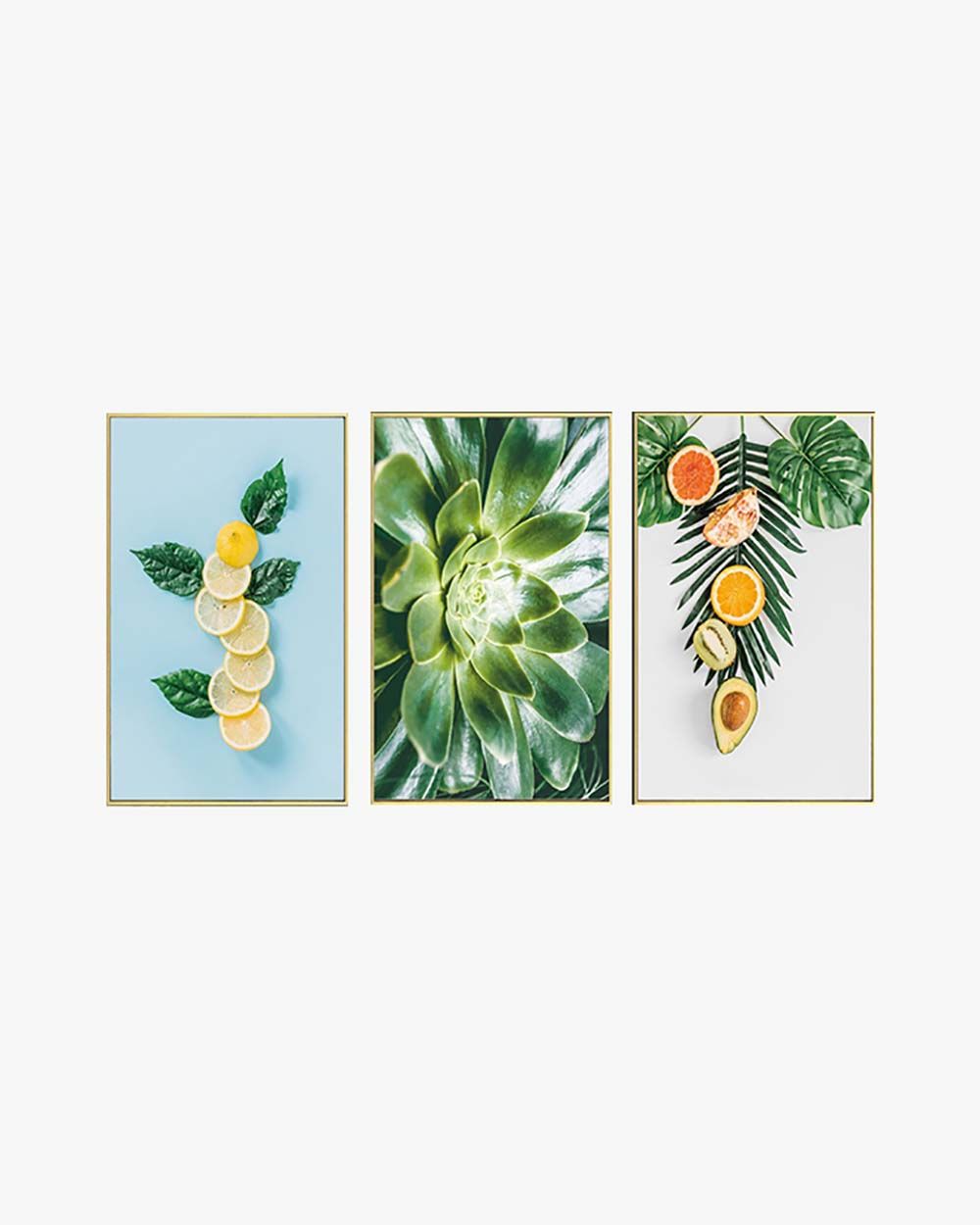 Bộ 3 Tranh Canvas Tropical 11