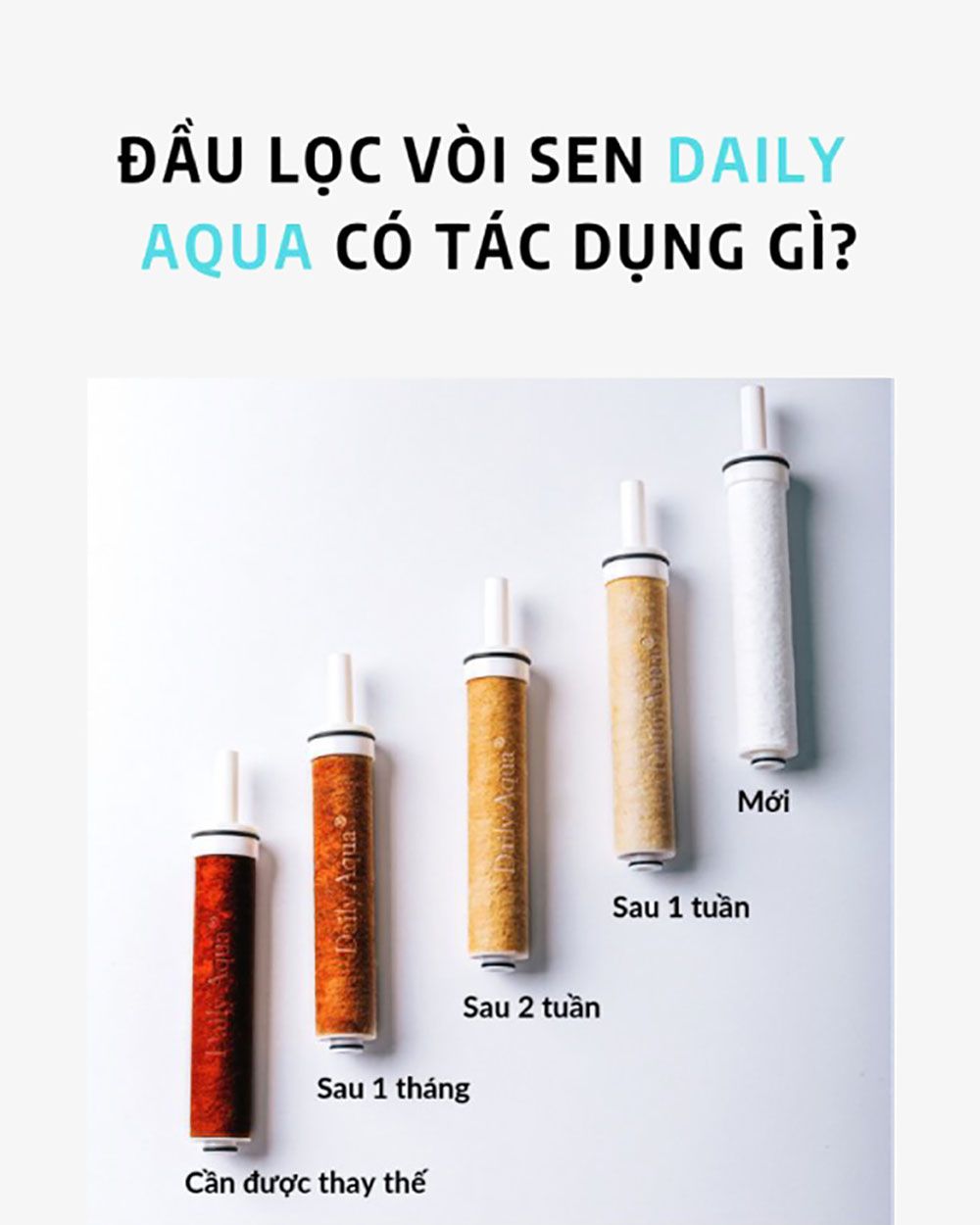 Vòi Sen Lọc Nước Trắng