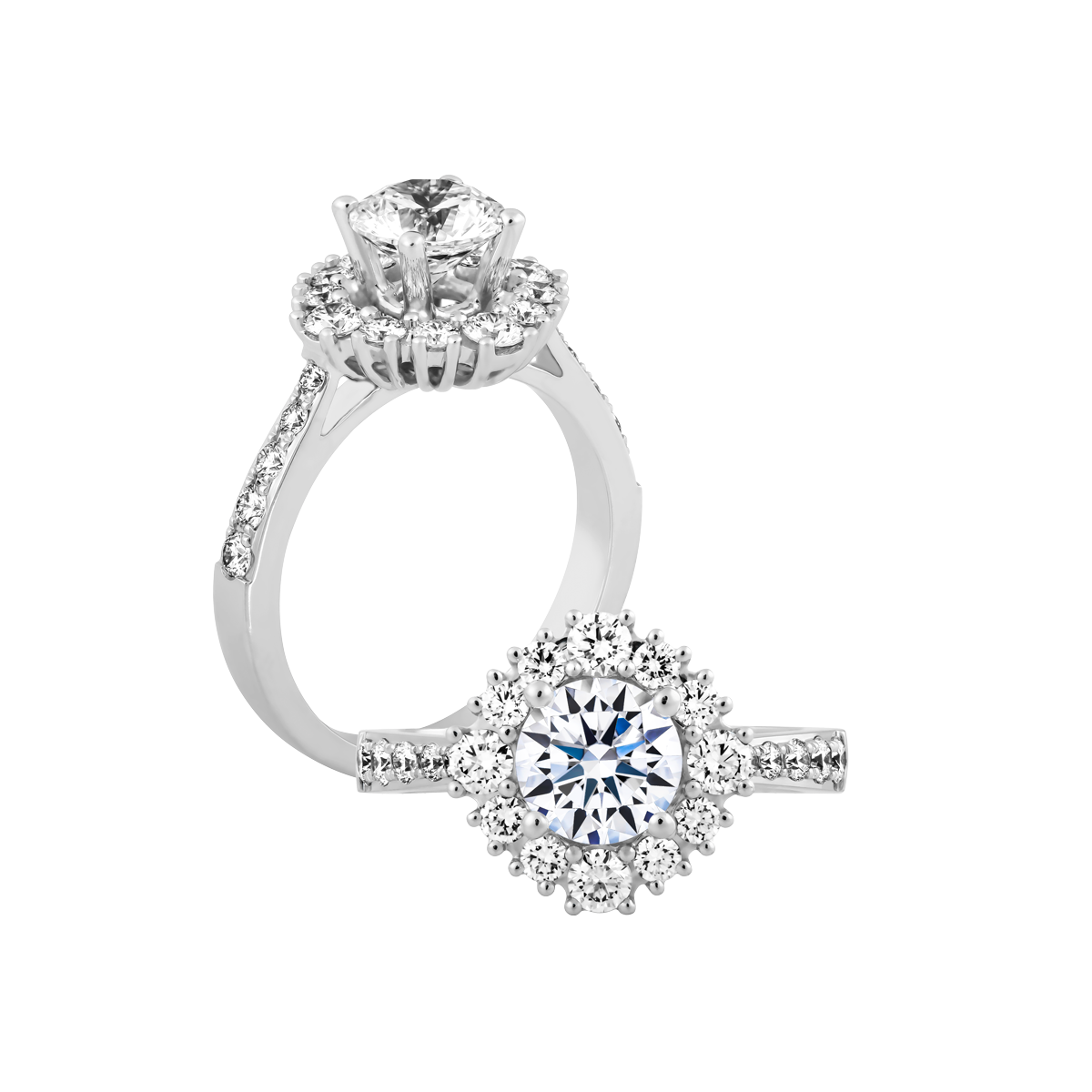 Ổ nhẫn nữ kim cương tấm vàng 14K Dapper 5C