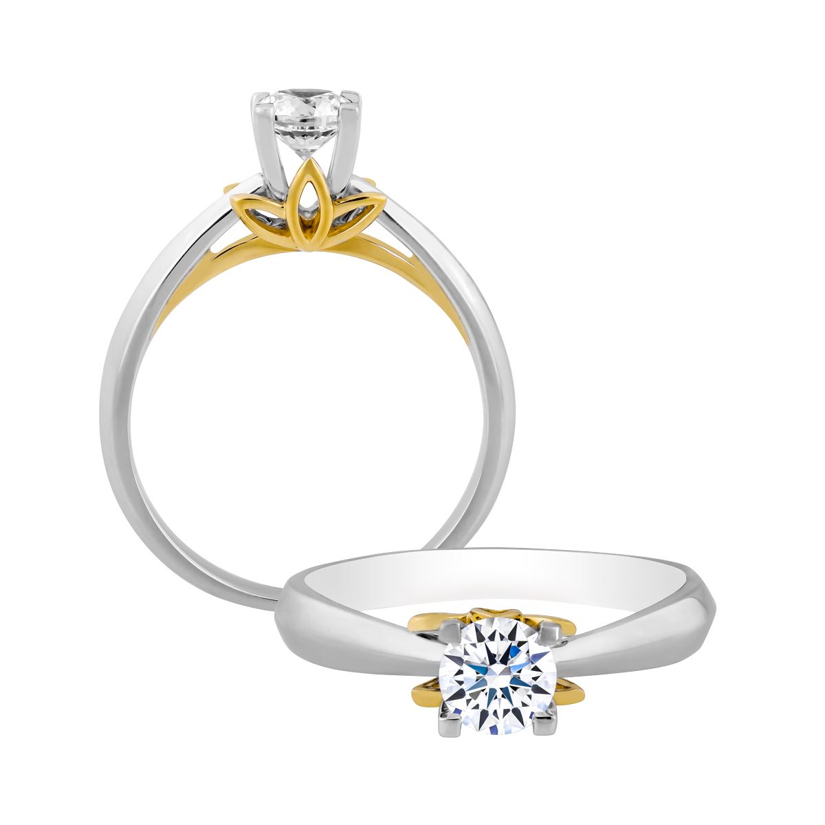 Nhẫn nữ kim cương vàng 14K Dedicated N 10p