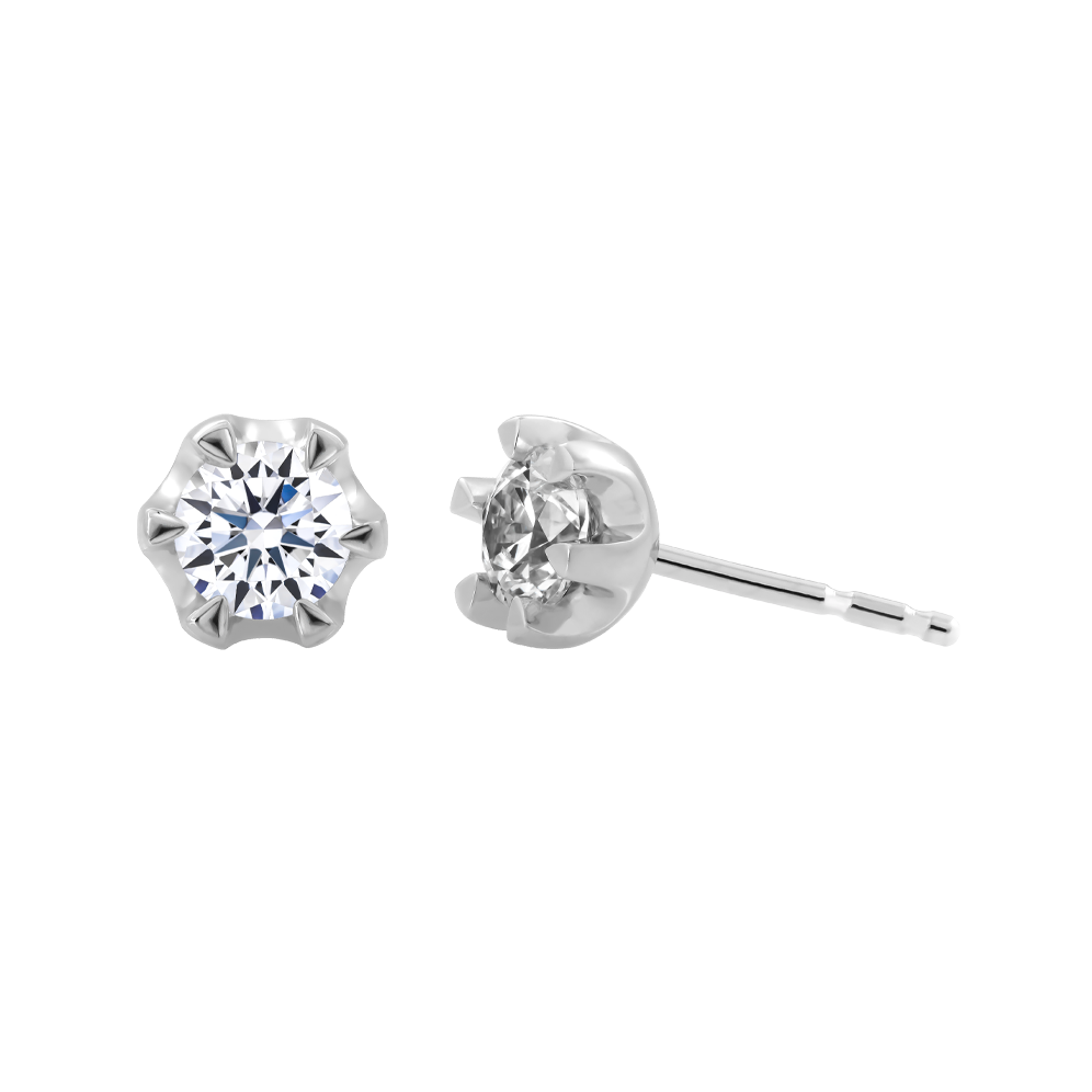 Hoa tai đính đá CZ platinum 950 Love Flower 3C