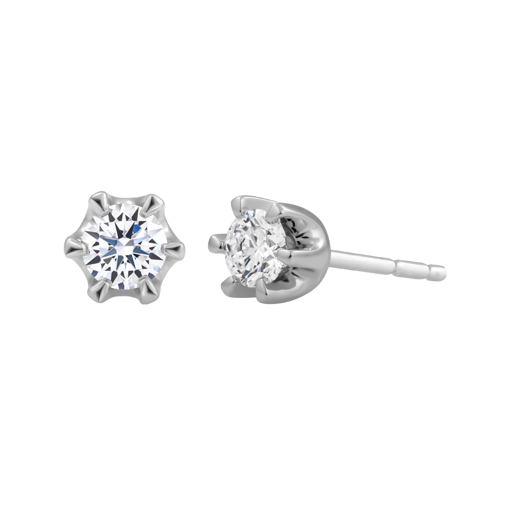 Hoa tai đính đá CZ platinum 950 Monako 1CT