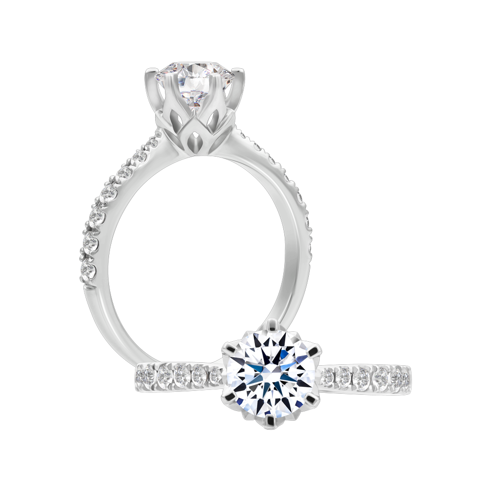 Nhẫn nữ đính đá CZ vàng 14K Allurial D 5C