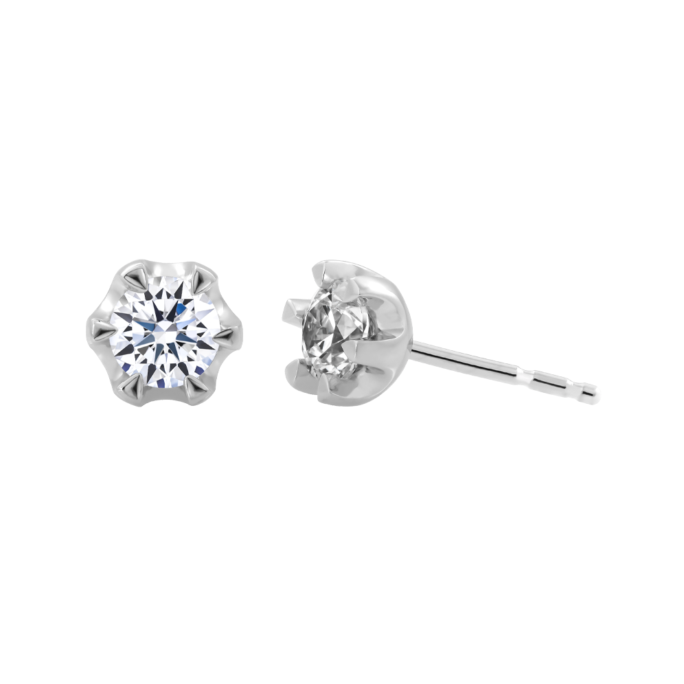 Hoa tai đính đá CZ platinum 950 Love Flower 3C
