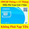 Sim 4G VinaPhone TD49 100GB/Tháng x 12 Tháng