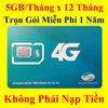 Sim 4G Viettel 5Gb x 12 Tháng Trọn Gói 12 Tháng D500